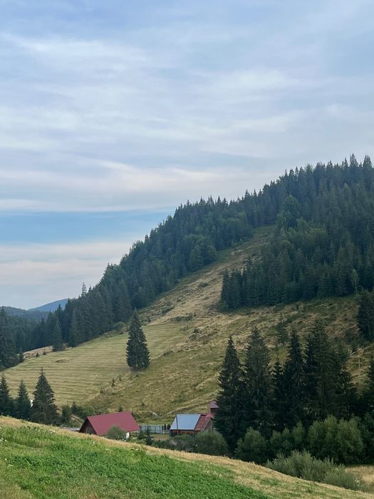 Teren de vânzare Arieseni