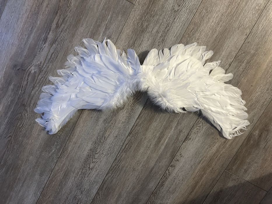 Aripi de ingeras pentru copii