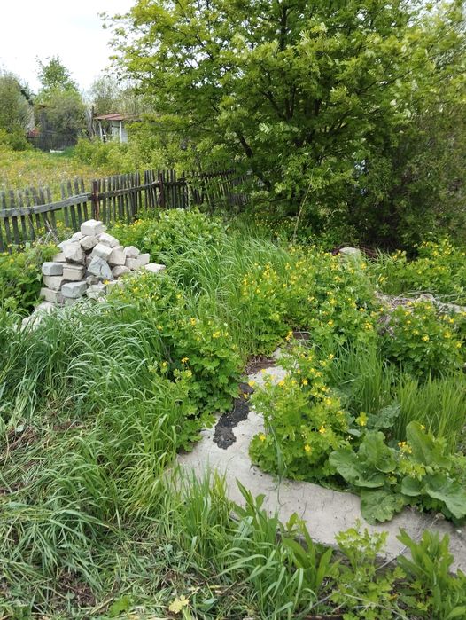 Продам Дачу с/о Ракета