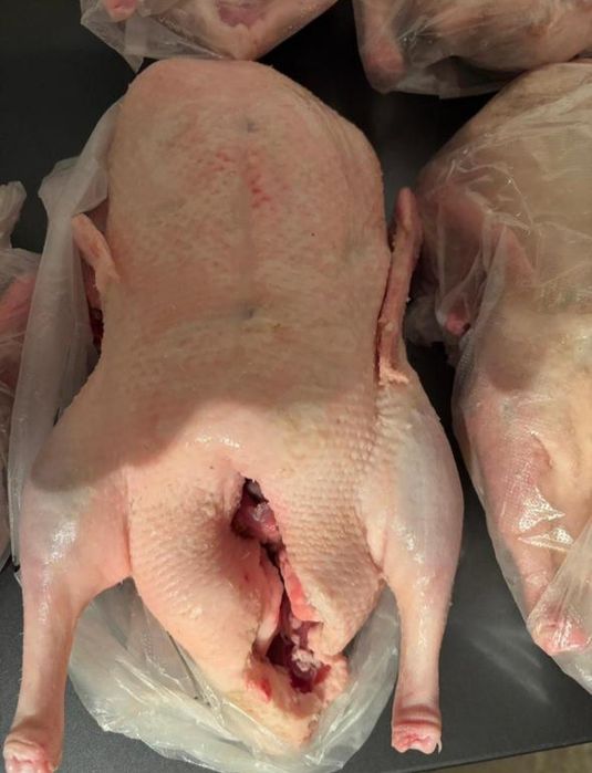 Продам мясо домашней птицы