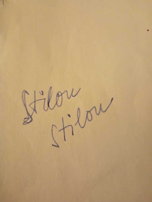 Stilou chinezesc vechi