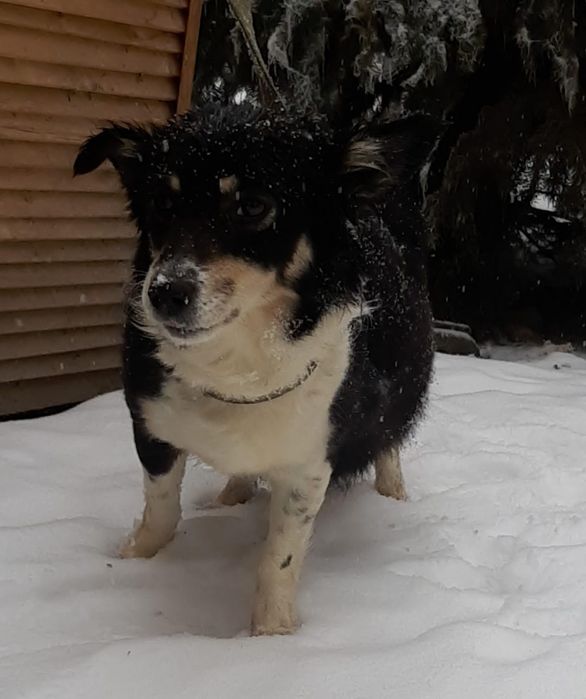 Кому ЗвонОчкоВ и СтороЖей