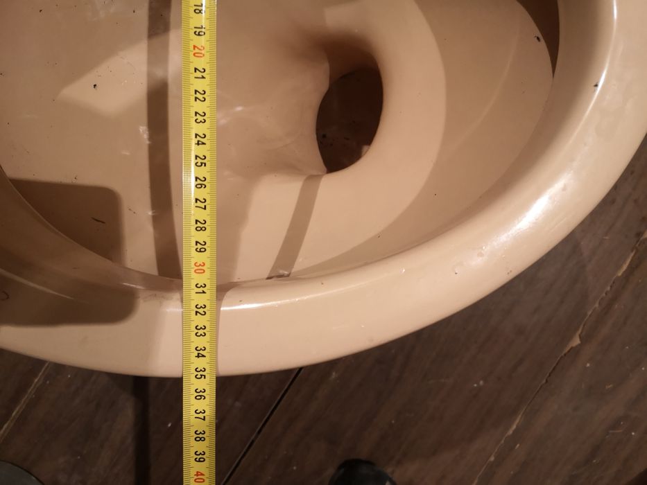 Тоалетната чиния