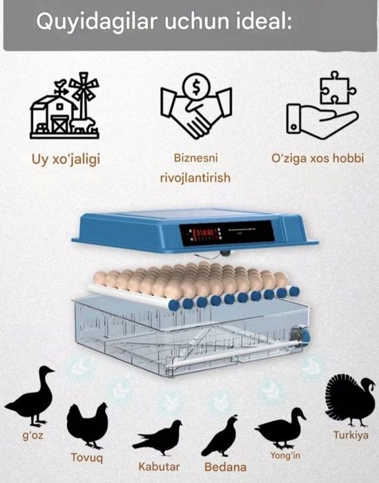 Avtomatik Inkubator 48 tali