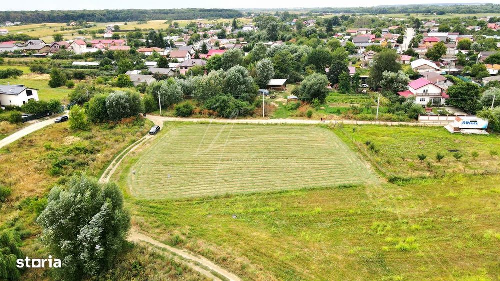 Teren intravilan la Teghes – pozitionare excelenta langa padure