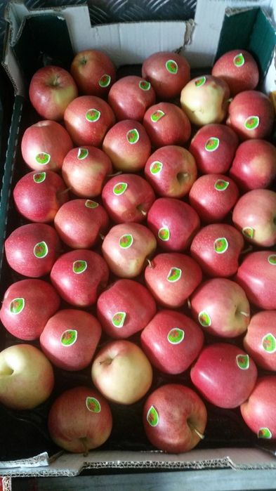 Доставка овощи фрукты