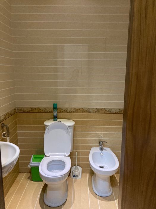 3/4/7 комнатная квартира на Алайском с мебелью