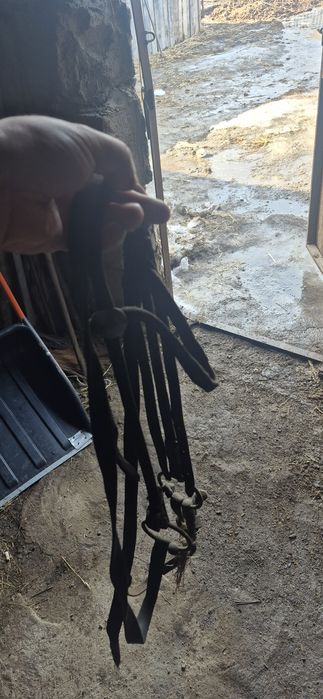 седла и уздечки.