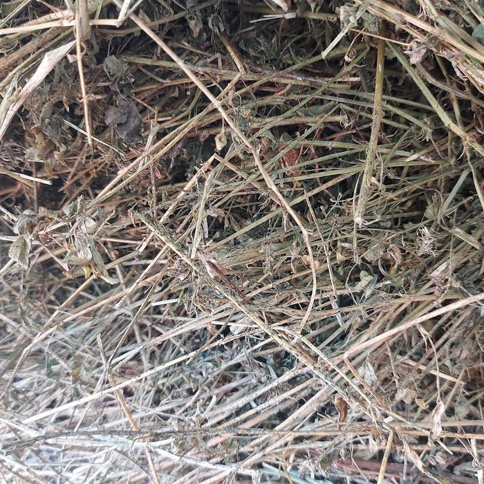 Baloți rotunzi lucerna