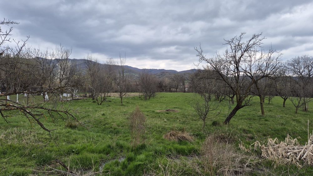 Teren intravilan 2600mp , intrare sat Schiulesti