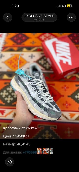 Мужская обувь………………