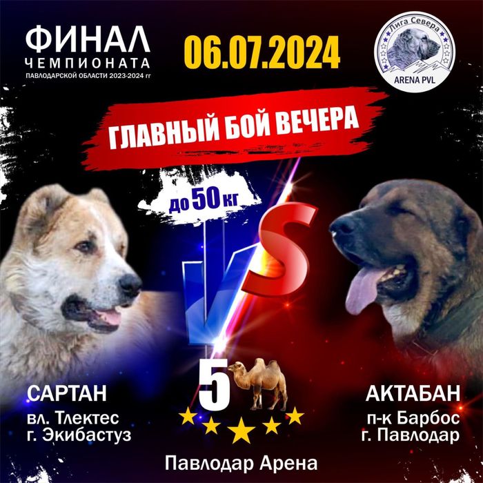 Чистокровные щенки алабая