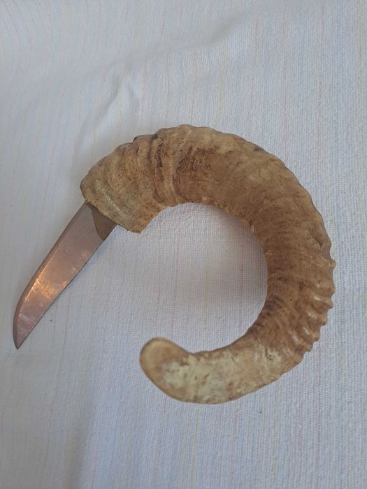 cutit cretan maner corn berbec