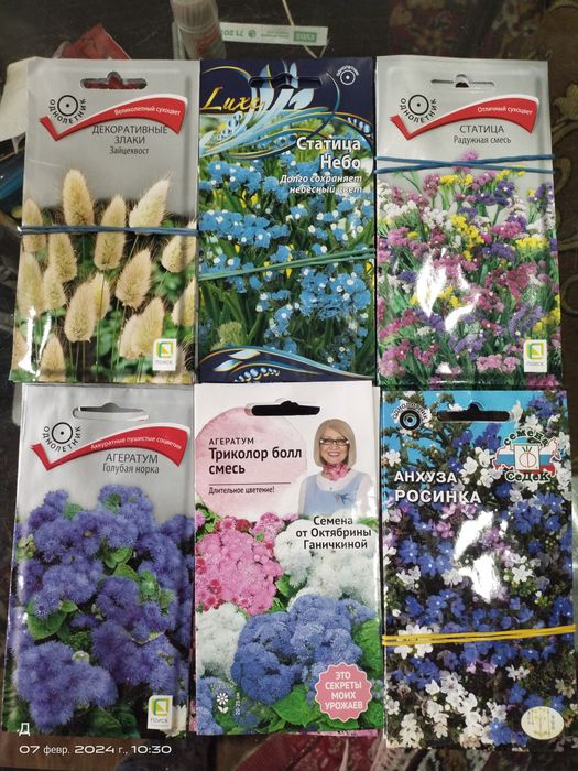 Семена цветов, однолетних и многолетних