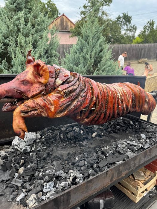 Evenimente, proțap, pizza, burgeri, petreceri private