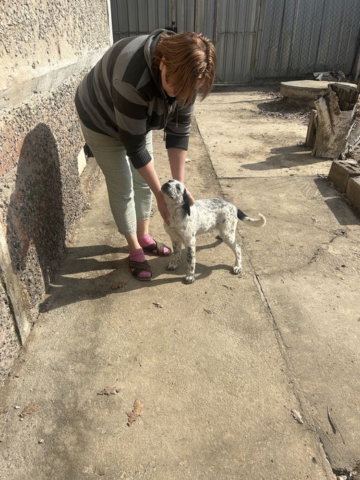 Ласковая здрровая девочка изет дом.