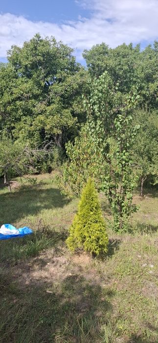 Продава се Къща в с. Муртинци, Област Перник - 24 кв.м за 1250 €/кв.м - Снимка #4