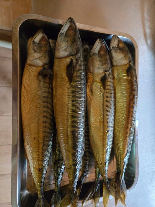 Копчёная скумбрия