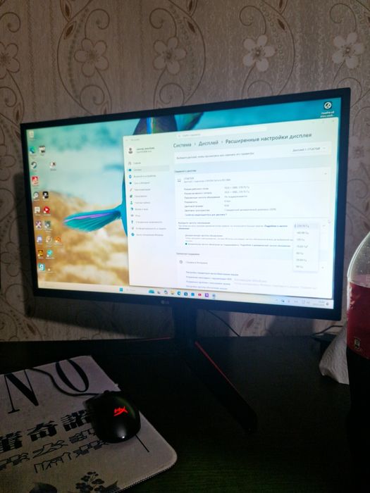 Монитор игровой 240герц lg