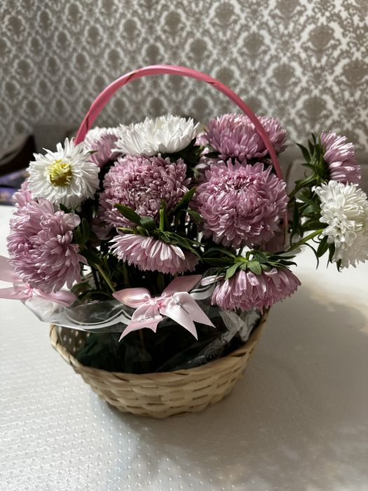 Цветы красивые Караганда юг