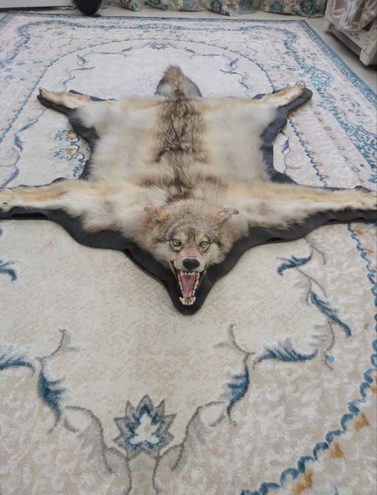 Продаем ш к у р у   Арлан