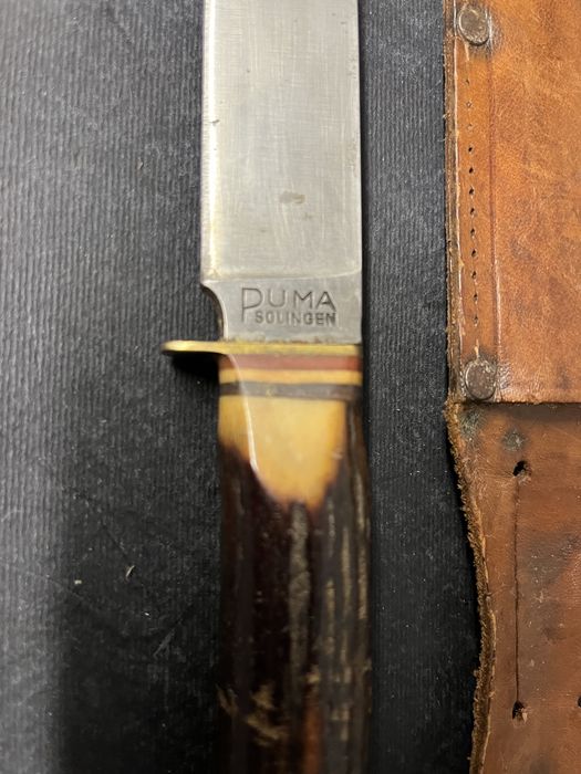 Колекционерски нож SOLINGEN PUMA