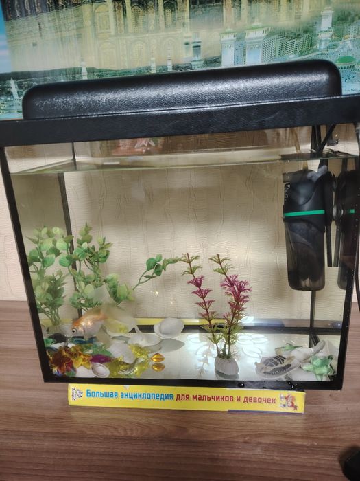 Продам аквариум 20 литров