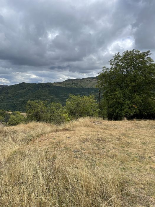 Vand teren, casa si grajd lemn Damis