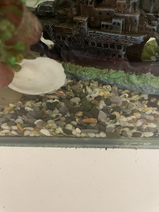 Аквариум для рыбок