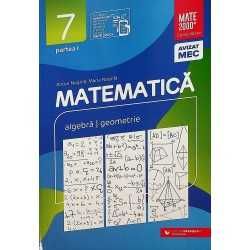 Meditatii la matematica