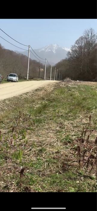 Teren Muntii Tiblesului