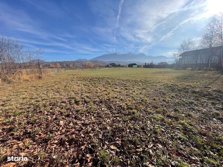 Teren cu pârâu ideal proiect turistic/casa vacanta langa Castelul Bran