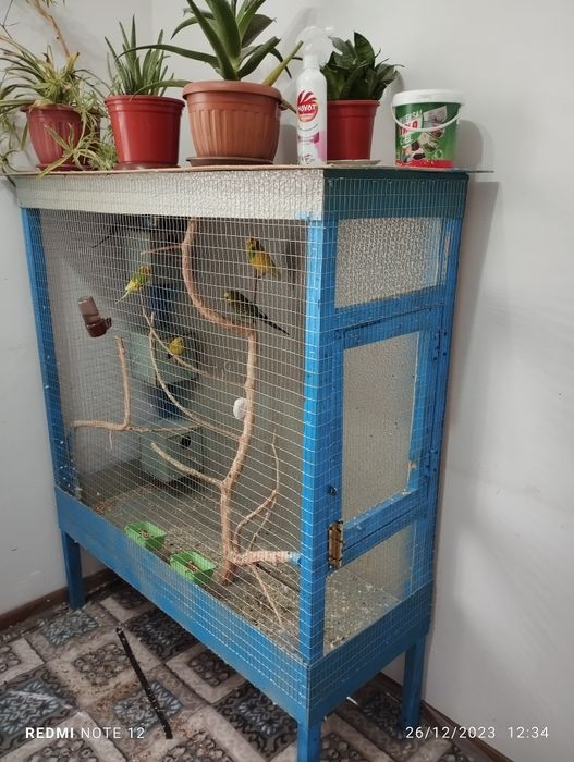 Qushlar qafasi bilan sotiladi