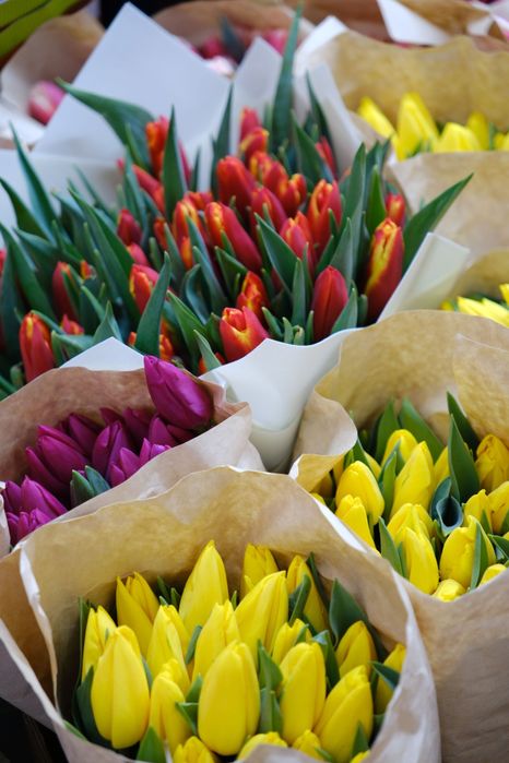 Тюльпаны По низким ценам