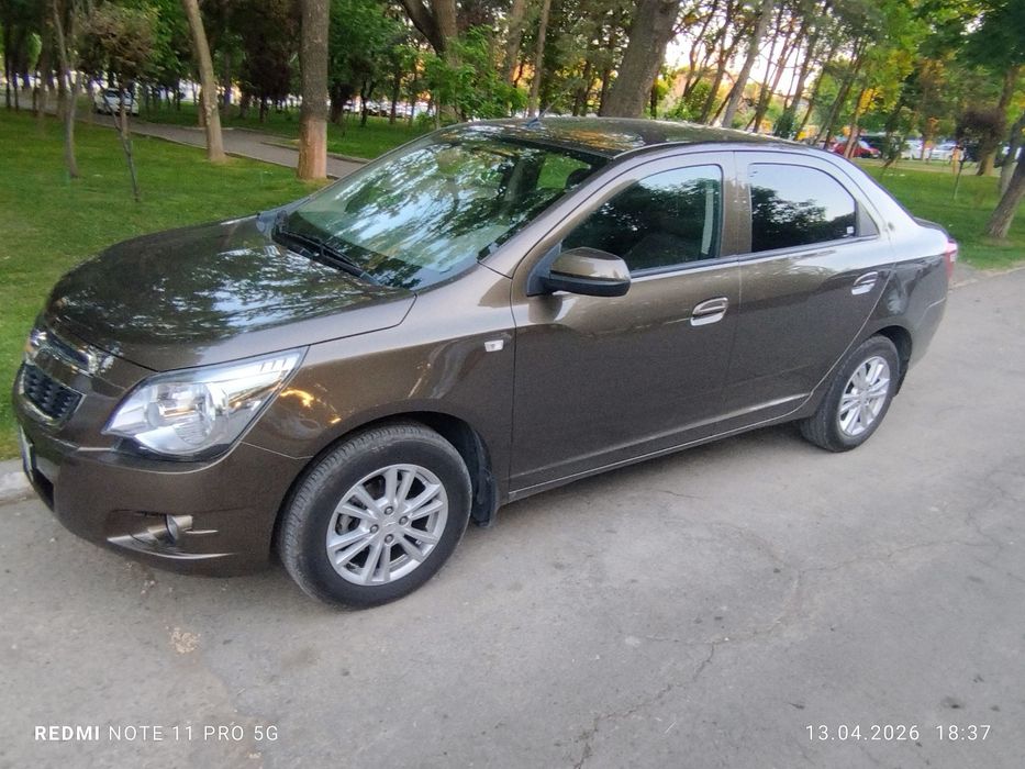 Other Cobalt 2023 — 5