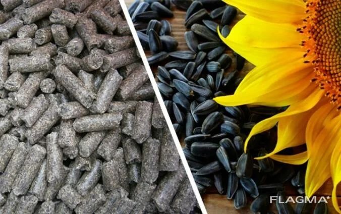 Шрот подсолнечный