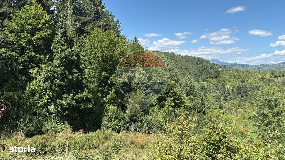 Teren intravilan 2768 mp, finantare obtinuta | Pietrosita, Dambovita