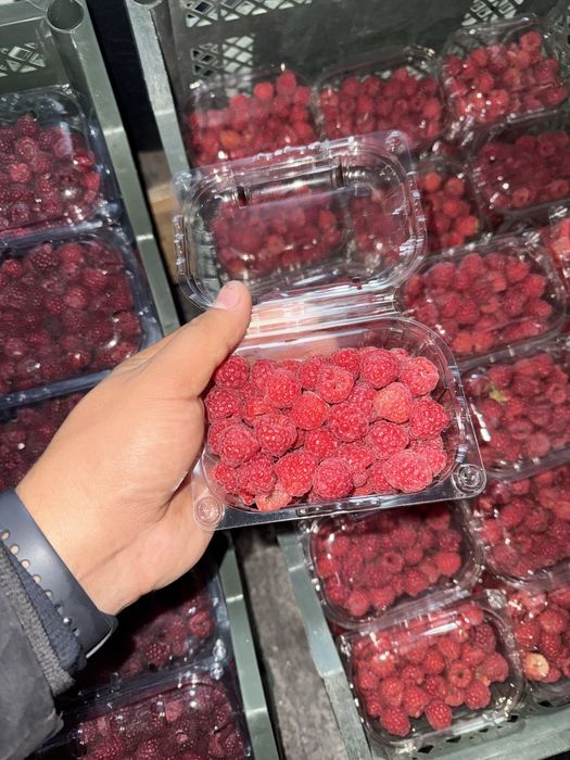 Muzlagan MALINA | Малина оптом