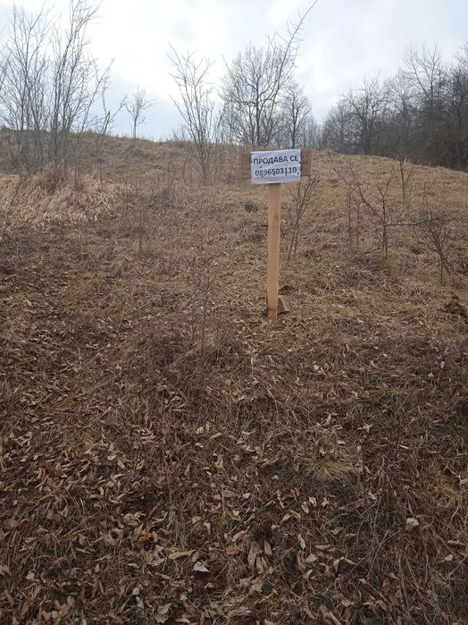 Продава се Земеделски имот в Рудозем -  кв.м за 9 €/дка - Снимка #2