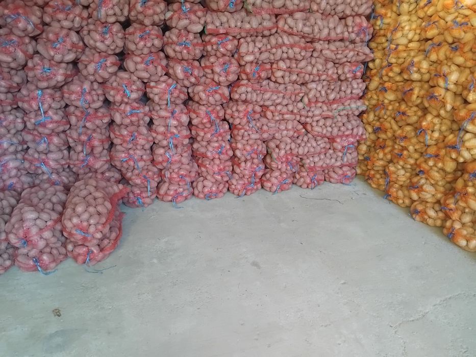Cartofi consum rosu si alb
