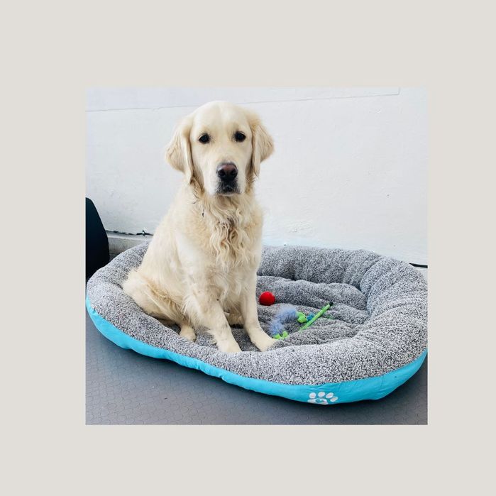 Легло за голямо куче с лапичка ХХЛ светло син