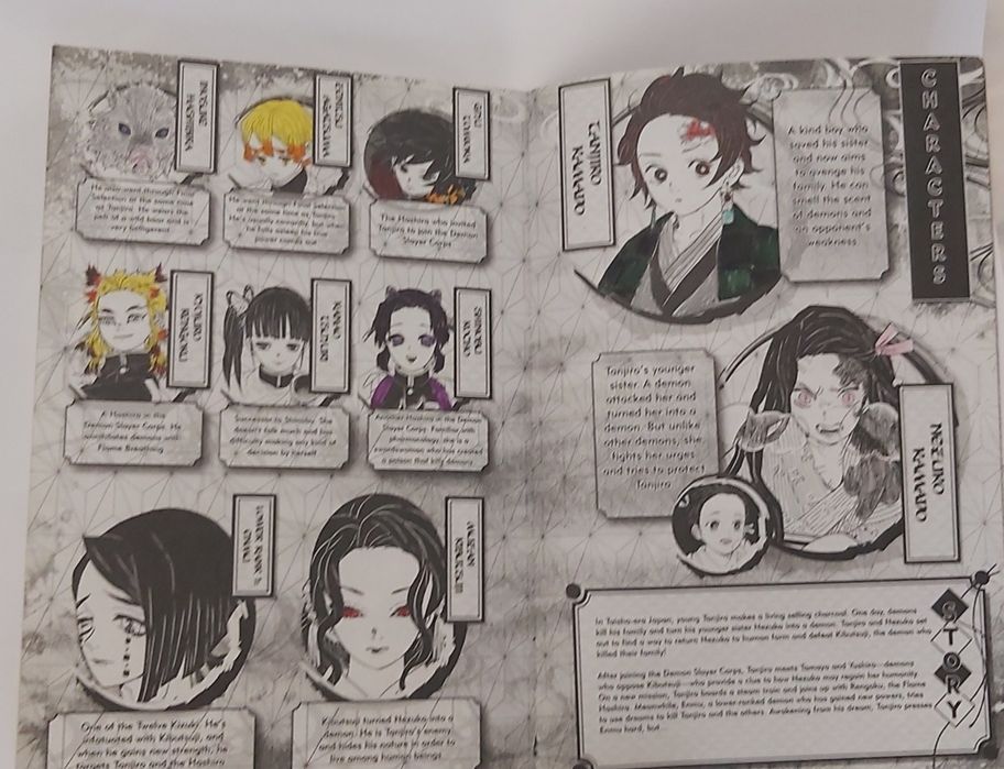 Demon Slayer 8 част