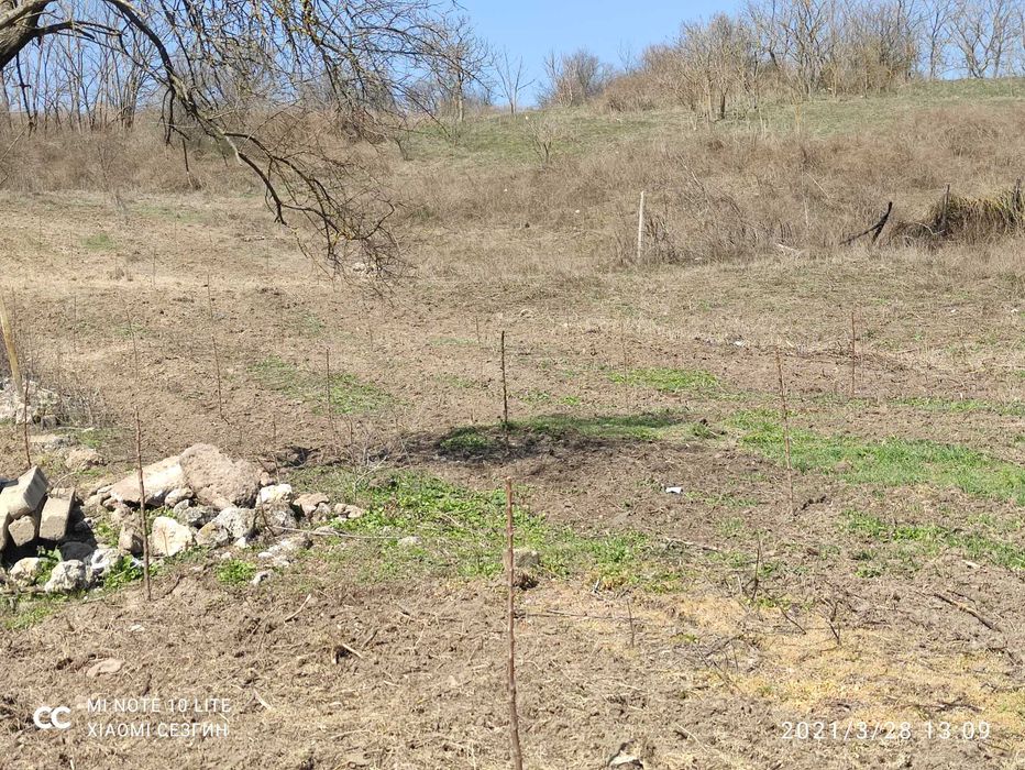 Продава се Парцел в с. Лозница, Област Добрич - 10000 кв.м за 2 €/кв.м - Снимка #6