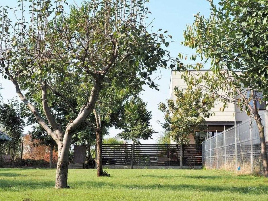 Teren 800 mp Băneasa – PUD aprobat – Construiești imediat