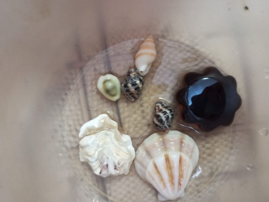 Продаю Аквариум с рыбками