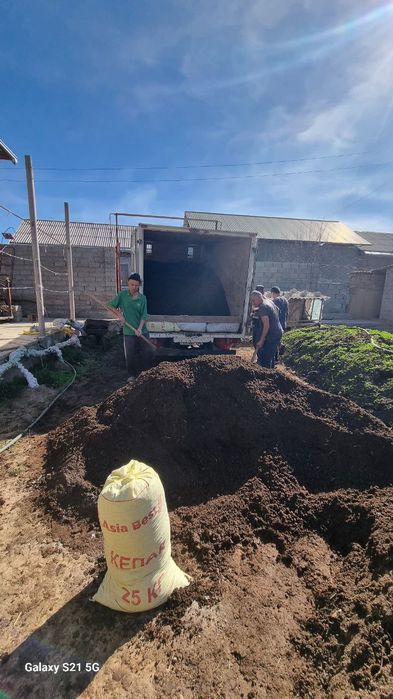 BIOGUMUS SOTILADI
Kaliforniya chuvalchangidan olingan biogumus ern