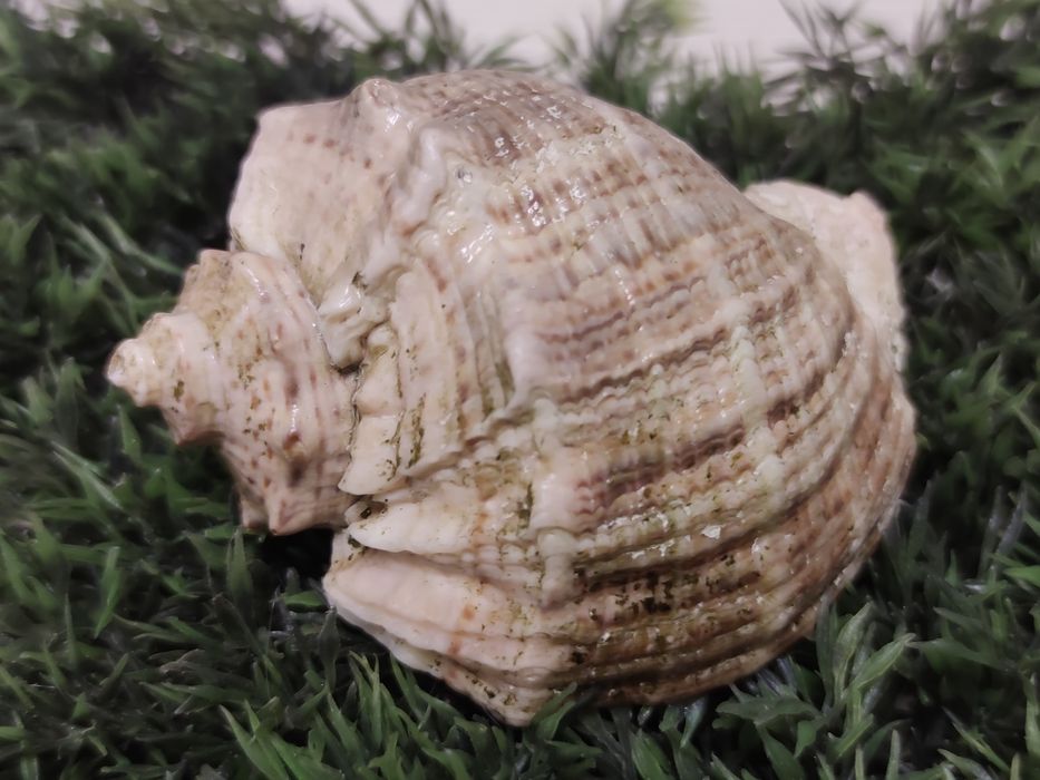 Искусственная трава, грунт для аквариума