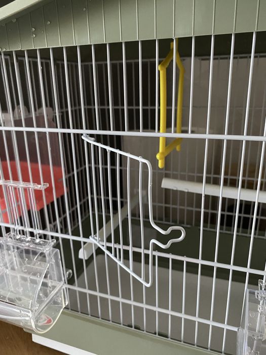 Colivie pentru pasari cu piscina