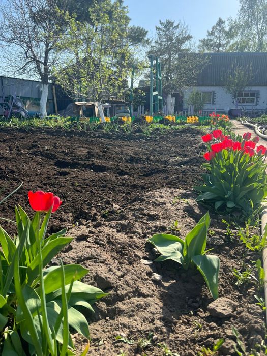 Продам дачный участок