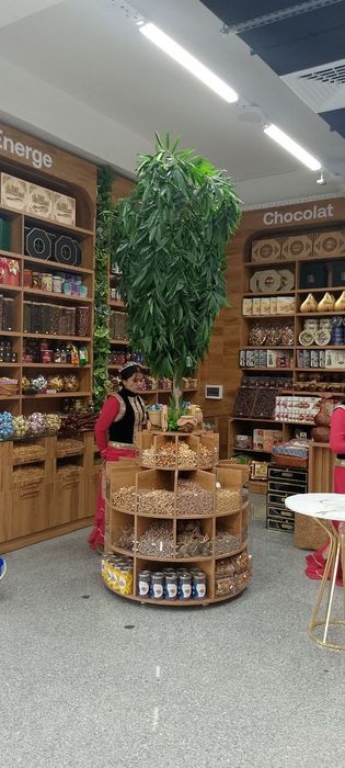 Sun'iy gullar va daraxtlar. Turli xildagi dekor xizmatlari.